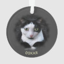 Recherche de animaux articles Animal