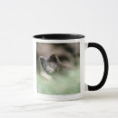 Search for wolf photo mugs Animal