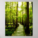 Search for forest path posters Hiking