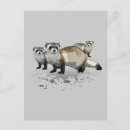 Recherche de furets cartes postales Drôle