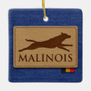 Recherche de malinois ornements Berger belge