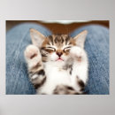 Recherche de jambe humaine posters À l'intérieur