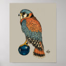 Search for talons posters Falcon