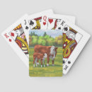 Recherche de bovin jeux de cartes Bétail