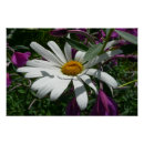 Recherche de fireweed posters Alaska