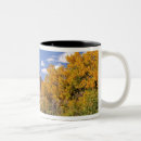 Recherche de grand format tasses Pittoresque