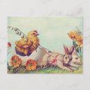 Search for easter lily horizontal postcards Bunny