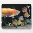 Search for fish mousepads Asian