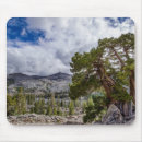 Search for desolate mousepads Clouds