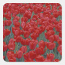 Search for bedding stickers Garden