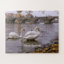 Recherche de cygnes puzzles Blanc