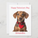 Recherche de dachshund valentines day cards Coeur
