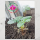 Search for work flyers Gardening
