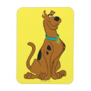 Search for scooby doo magnets Cartoon character