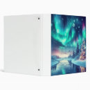 Search for frozen binders Winter