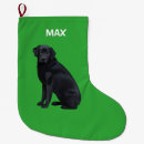 Search for black labrador christmas stockings Pet