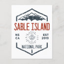 Search for vintage horse postcards Retro