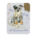 Search for acds magnets Dog