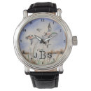 Search for duck watches Wildlife