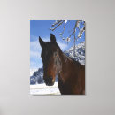 Search for part 1 canvas prints Animal