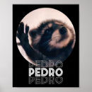 Search for racoon art posters America