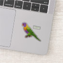 Search for rainbow lorikeet electronics Parrot