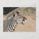 Search for game reserve postcards Close up