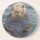 Recherche de loutre dessous de verres Mignon