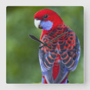 Recherche de autour du monde art Nature
