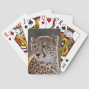 Recherche de regard jeux de cartes Animal