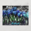 Search for crocuses postcards For her