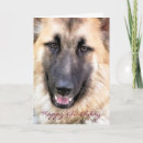 Recherche de alsacien vœux cartes Dog