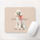 Recherche de beau chien tapis souris Caniche