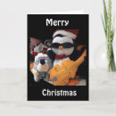 Recherche de amour pingouin cartes postales Pour lui