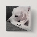 Search for mix buttons Puppy
