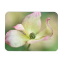 Recherche de mlle refrigérateur magnets Fleur