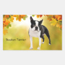 Recherche de terrier autocollants Pub