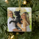 Search for memorable ornaments Modern