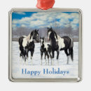 Search for paint horse ornaments Winter