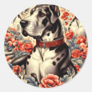 Search for great dane stickers Dogs