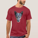 Recherche de heeler bleu Mignon