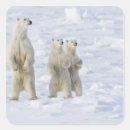 Search for animal protection stickers Wild