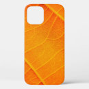 Search for orange text cases Abstract