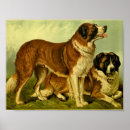 Recherche de chien st bernard posters Vintage