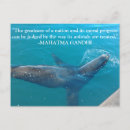 Search for ghandi Animals