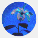 Search for pink hibiscus stickers Elegant