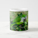 Recherche de perroquet vert tasses Oiseau