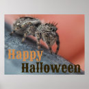 Recherche de arachnide art Halloween