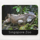 Recherche de zoo tapis souris Animaux