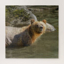 Recherche de ours puzzles Canada